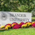 布兰迪斯大学申诉